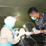 Bakti Kesehatan TNI di Monas Hadirkan Layanan Gratis bagi Masyarakat