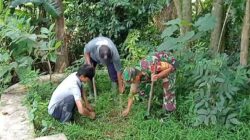 Babinsa Dan Warga Ngadirejo, Tanam Pohon Beringin Dan Saman Untuk Lestarikan Alam Dan Sumber Air