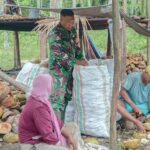Wujud Kepedulian, Babinsa Koramil 03/Maba Dukung Pengolahan Kopra di Desa Binaan