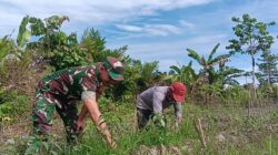 Babinsa Mapurujaya Wujudkan Kepedulian Lewat Komsos dan Pendampingan Petani Cabai Keriting