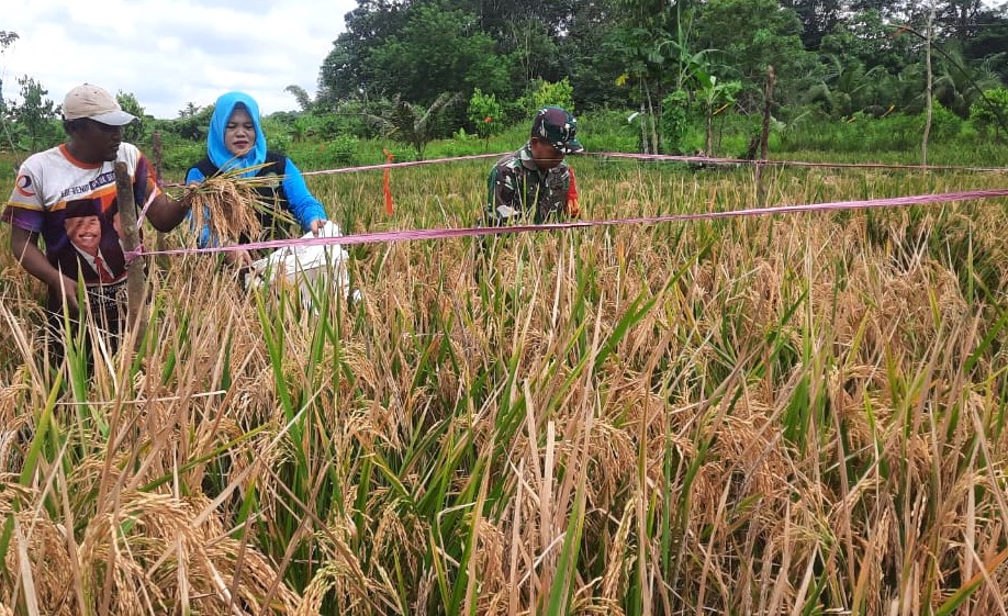 WhatsApp Image 2025 10 15 at 13.40.07