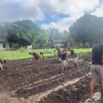 Dari Tanah Perbatasan, Tumbuh Harapan Baru: Satgas 312/KH Tanam Jagung di Rawabiru