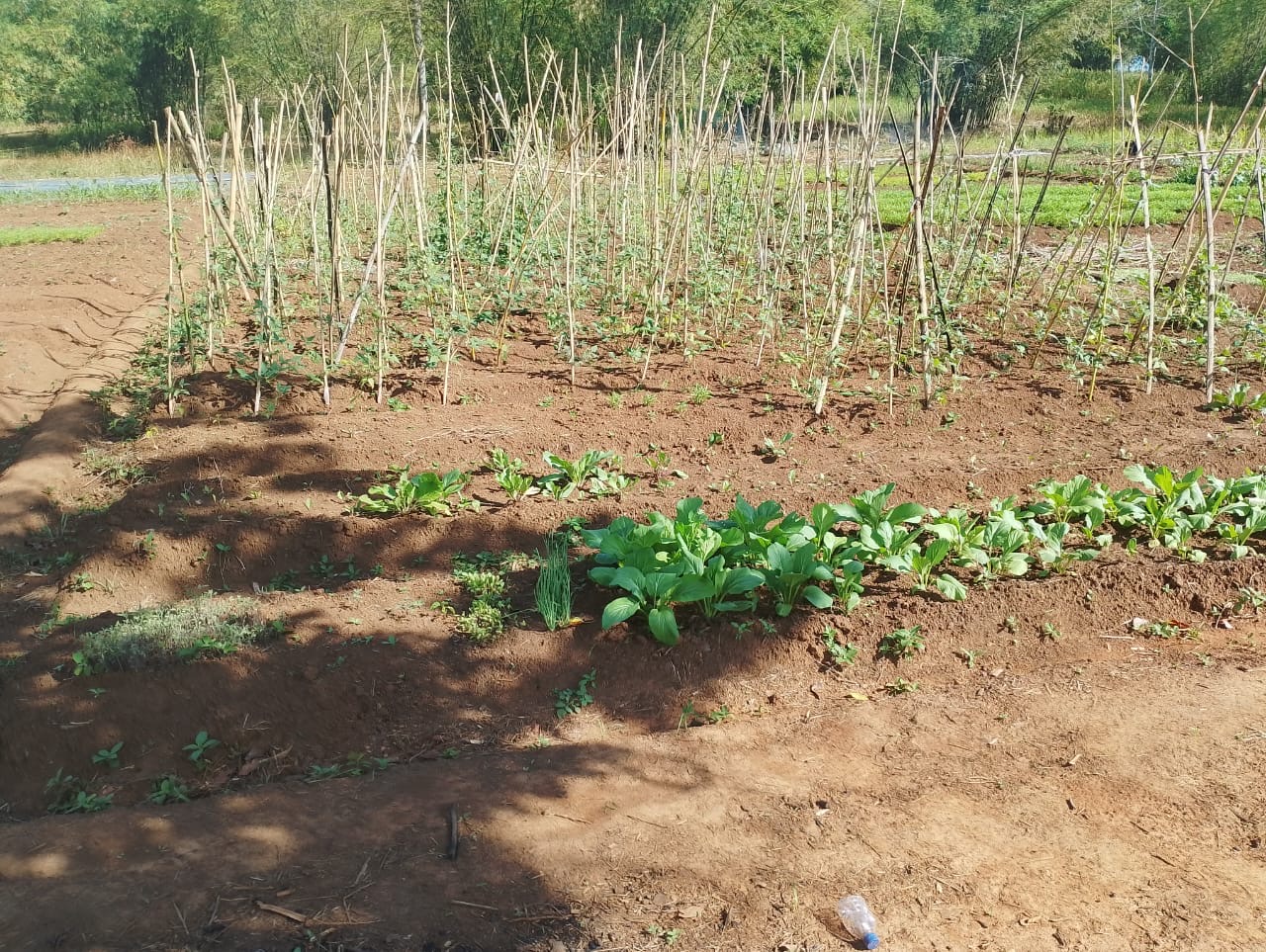 a0125823 07f5 4532 b404 6cdf8cfe0867