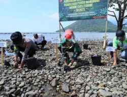 Wujud Kepedulian pada Kelestarian Lingkungan, Kodim 1505/Tidore Gelar Penanaman Mangrove