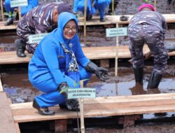 Semarak HUT Armada RI 2025: Koarmada III Gelar Baksos Akbar dan Tanam 1.000 Mangrove di Katapop Pantai Kabupaten Sorong