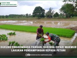 Dukung Swasembada Pangan, Babinsa Cipari Makmur Lakukan Pendampingan Kepada Petani