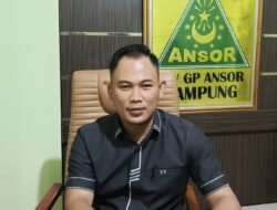 Tak Konsisten Soal Dugaan Ilegal Logging, LBH Ansor Minta Kapolda Lampung Balik ke Mabes