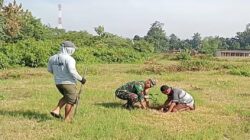 Peduli Lingkungan Sertu M. Ayub Bersama Warga Tlumpu Laksanakan Penghijauan Tanam Pohon Akasia