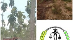 Hukum Menciut di Hadapan Kekuatan: Tambang Ilegal Dibiarkan Bernapas Panjang