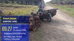 PT. Agrinas Sukaramai Labura Berdayakan Pekerjakan Masyarakat Sekitar, Hadapi Tantangan Pencurian