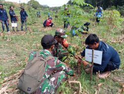 Peringatan HPN 2026, TNI, Insan Pers dan Elemen Masyarakat di Bojonegoro Tanam Ratusan Pohon Produktif