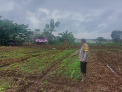 Bhabinkamtibmas Desa Sukadamai Laksanakan Kontrol Lahan Tanaman Jagung di Wilayah Cikupa
