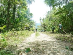 TMMD Ke-127 Kodim 1804/Kaimana Terus Genjot Pembukaan Jalan Menuju Kampung Marsi