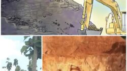 Skandal Tambang Ilegal Tuban: Produksi Jalan, Penegakan Hukum Mandek