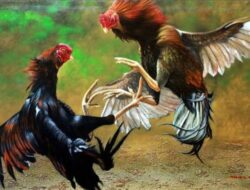 Hukum Sekadar Pajangan Di Nganjuk: Praktik Judi Dadu dan Sabung Ayam Kebal Penindakan