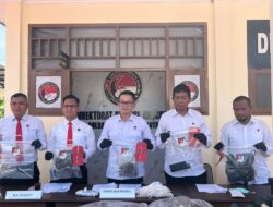 Pengedar Ditangkap Polisi: Ditresnarkoba Polda Papua Barat Daya Bongkar Dua Jaringan Narkoba, Hampir 8 Kg Ganja Disita di Sorong