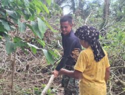 Kemanunggalan TNI dan Rakyat, Pratu Wisnu Taripino Bantu Warga Linggang Amer Cari Kayu Bakar