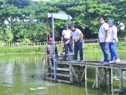 Pererat Sinergitas, Satgas Trisila 2026 dan Lanal Aru Gelar Olahraga Bersama, Penanaman Bibit Tomat, dan Penebaran Bibit Lele