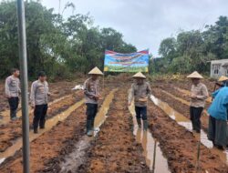 Polsek Cikupa Ikuti Zoom Meeting dan Penanaman Jagung Serentak Kuartal I Tahun 2026