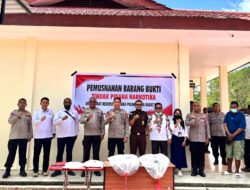 Komitmen Berantas Narkoba, Polda Papua Barat Daya Musnahkan 7,9 Kg Barang Bukti Ganja, Disaksikan Pejabat Terkait