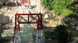 WhatsApp Image 2026 03 10 at 13.20.44