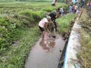 Dukung Sektor Pertanian, Babinsa Karang Tengah Bersama Warga Gotong Royong Bersihkan Irigasi