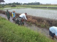 Sinergi Babinsa Dan Masyarakat Desa Pojok Bersihkan Irigasi Demi Pertanian Lancar