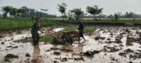 Dukung Swasembada Pangan, Babinsa Pohgajih Aktif Dampingi Petani Siapkan Lahan Sawah