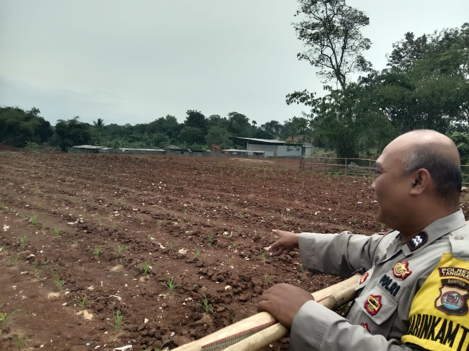 Bhabinkamtibmas Desa Budimulya Cek Lahan Jagung Hibrida Dukung Ketahanan Pangan