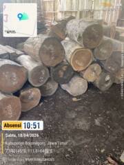 Hutan Dijarah, Penegakan Hukum Melemah: Publik Pertanyakan Keseriusan