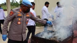 Polda Papua Barat Daya Musnahkan Barang Bukti Ganja 8,2 Kg, Perketat Penindakan Serta Tegaskan Perang Tanpa Kompromi