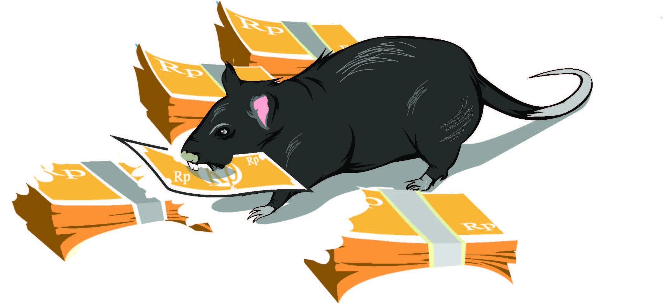 Pengelolaan DAK Nganjuk Dipertanyakan, Dugaan Pelanggaran Pagu Anggaran Th 2025 dan SOP Seret Oknum Sekdin