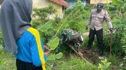 Penghijauan Monumen Trisula, TNI-Polri Bersama SMKN 1 Bakung Wujudkan Kepedulian Lingkungan Penghijauan Monumen Trisula, TNI-Polri Bersama SMKN 1 Bakung Wujudkan Kepedulian Lingkungan