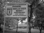 Dugaan Penggunaan Dana BOS SDN 1 Pandan Surat Tahun 2024–2025 Jadi Sorotan, Sejumlah Pos Anggaran Dipertanyakan
