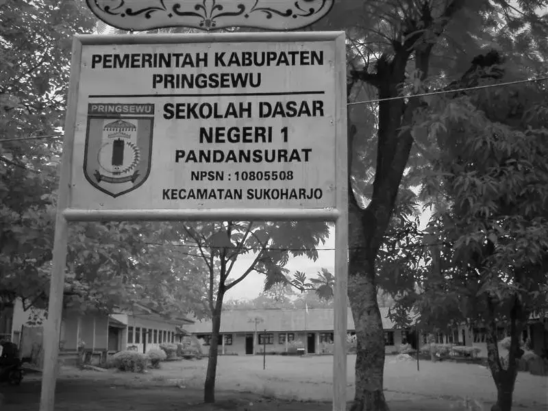 Dugaan Penggunaan Dana BOS SDN 1 Pandan Surat Tahun 2024–2025 Jadi Sorotan, Sejumlah Pos Anggaran Dipertanyakan
