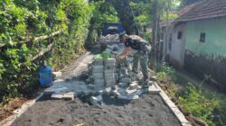 Pemasangan Paving di Dusun Klagin Desa Brabe Capai 70 Persen