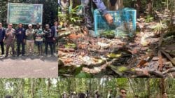 Krimsus Polda PBD Selamatkan dan Kembalikan 17 Satwa di Lindungi ke Habitatnya
