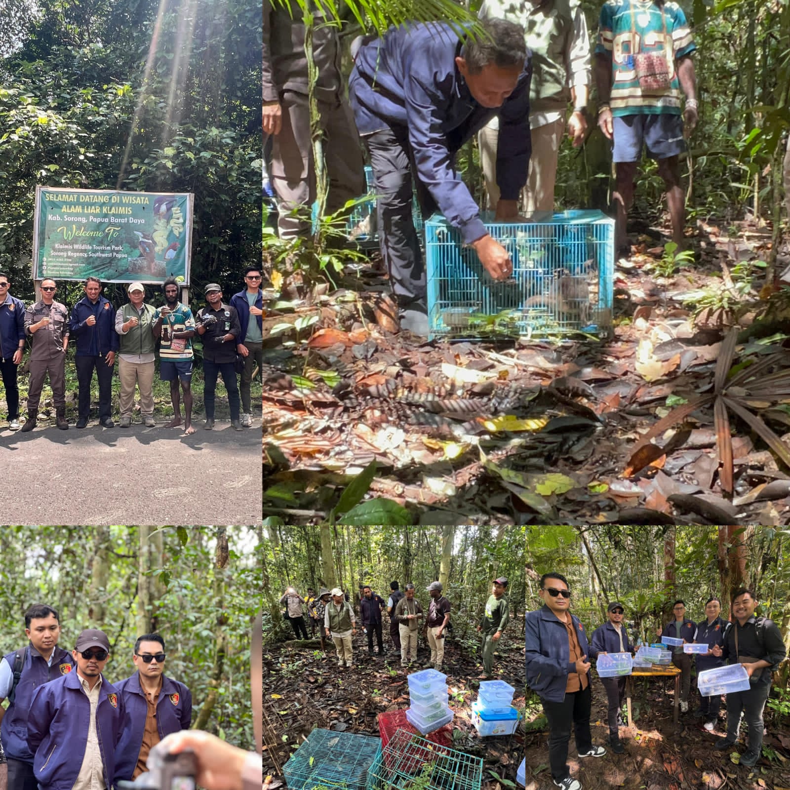 Krimsus Polda PBD Selamatkan dan Kembalikan 17 Satwa di Lindungi ke Habitatnya