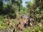 Bersama Warga, Satgas TMMD Ke-128 Kodim 1801/Manokwari Bersihkan Lahan 2 Hektare untuk Tanam Kakao