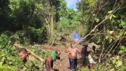 Bersama Warga, Satgas TMMD Ke-128 Kodim 1801/Manokwari Bersihkan Lahan 2 Hektare untuk Tanam Kakao