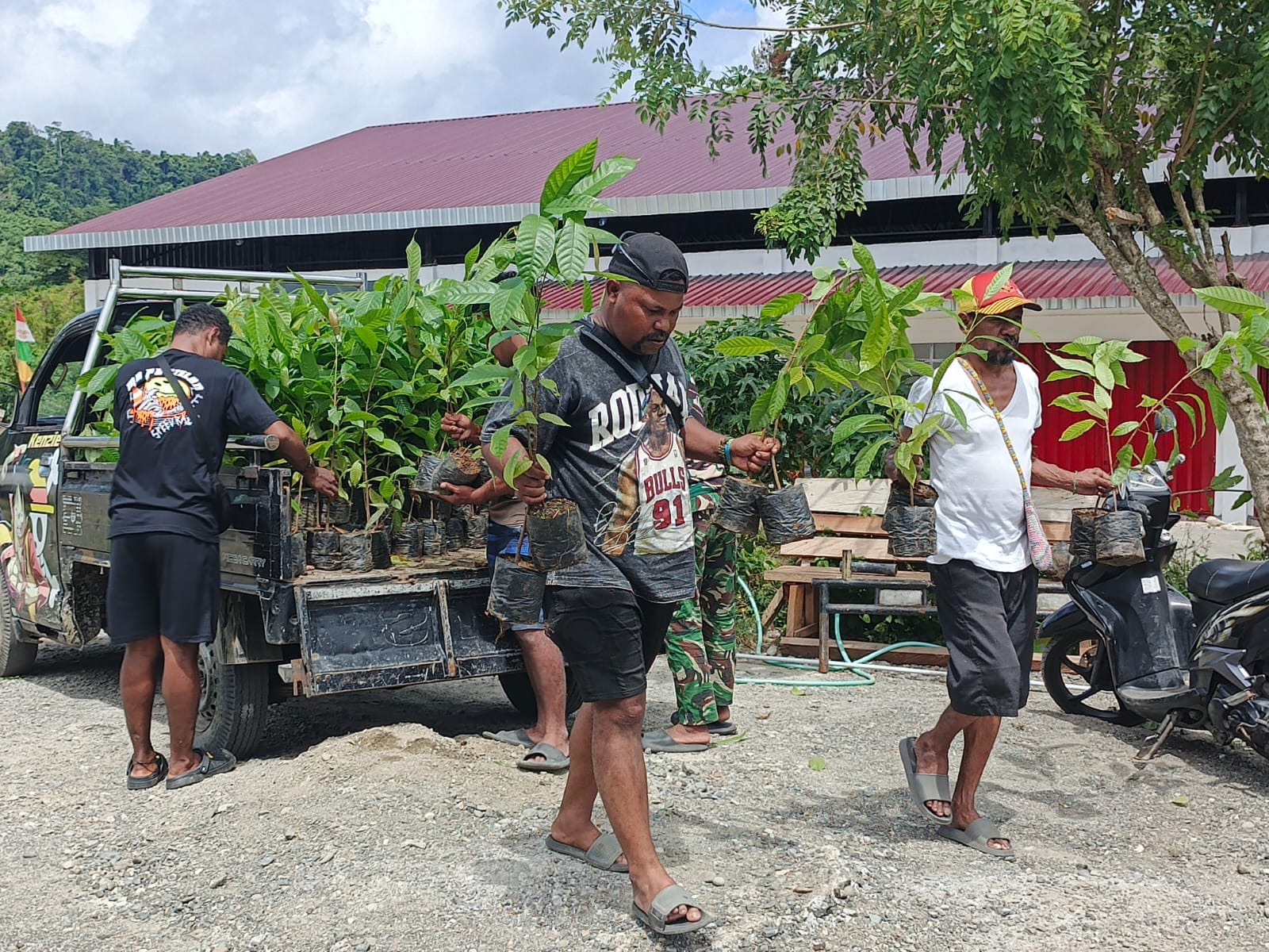 Penambahan Bibit Kakao dari PMK Tiba di Lokasi TMMD Ke-128 Kodim 1801/Manokwari