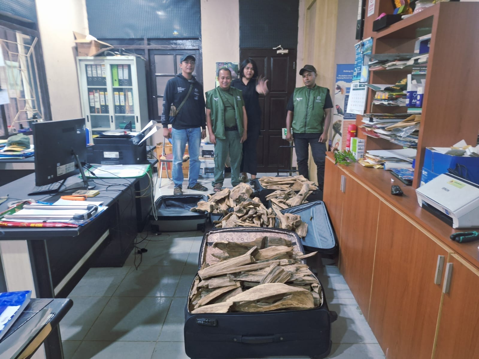 Sinergitas TNI AL dan BBKSDA Papua Barat Daya Gagalkan Penyelundupan Kayu Gaharu Sinergitas TNI AL dan BBKSDA Papua Barat Daya Gagalkan Penyelundupan Kayu Gaharu