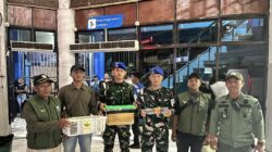 TNI AL dan BBKSDA Papua Barat Daya Gagalkan Upaya Penyelundupan Satwa Dilindungi