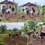 Satgas TMMD Ke-128 Kodim 1801/Manokwari Gotong Royong Bersihkan Pekarangan RTLH