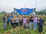 Kanit Binmas Polsek Cikupa Hadiri Panen Jagung Program Ketahanan Pangan di Desa Dukuh
