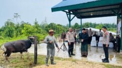 Wakapolda PBD Pererat Silaturahmi Lewat Penyerahan Hewan Kurban Untuk Pesantren Fahd AL Muslim Wakapolda PBD Pererat Silaturahmi Lewat Penyerahan Hewan Kurban Untuk Pesantren Fahd AL Muslim