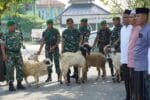 Semangat Berbagi di Idul Adha, Kodim Bojonegoro Salurkan Daging Kurban