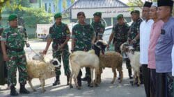 Semangat Berbagi di Idul Adha, Kodim Bojonegoro Salurkan Daging Kurban Semangat Berbagi di Idul Adha, Kodim Bojonegoro Salurkan Daging Kurban