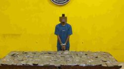 Satresnarkoba Polresta Sorong Kota Gagalkan 4,8 Kilogram Ganja, Satu Tersangka Diamankan