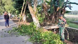 Wujud Kemanunggalan TNI, Babinsa Ngoran Pelopori Gotong Royong Bersihkan Jalan Desa